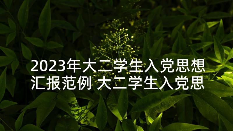 2023年大二学生入党思想汇报范例 大二学生入党思想汇报(大全7篇)