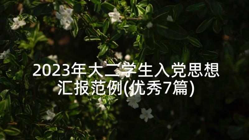 2023年大二学生入党思想汇报范例(优秀7篇)