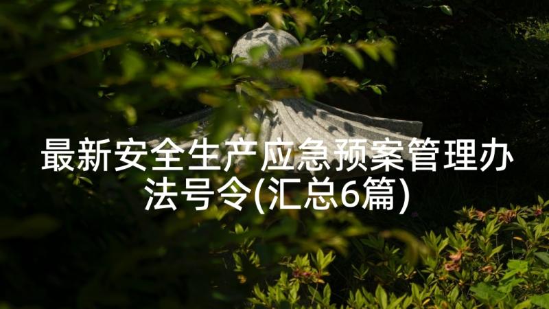 最新安全生产应急预案管理办法号令(汇总6篇)