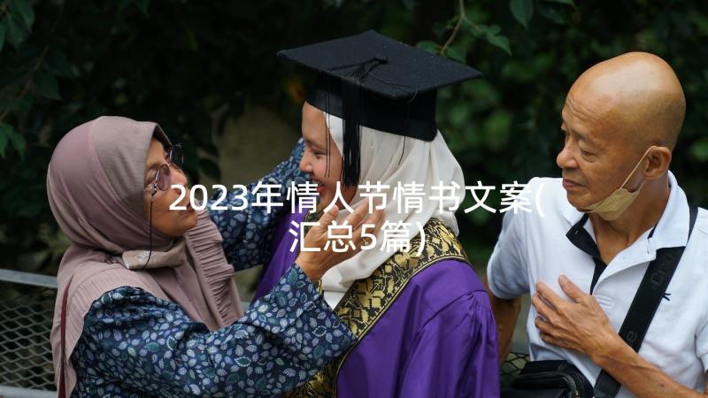 2023年情人节情书文案(汇总5篇)