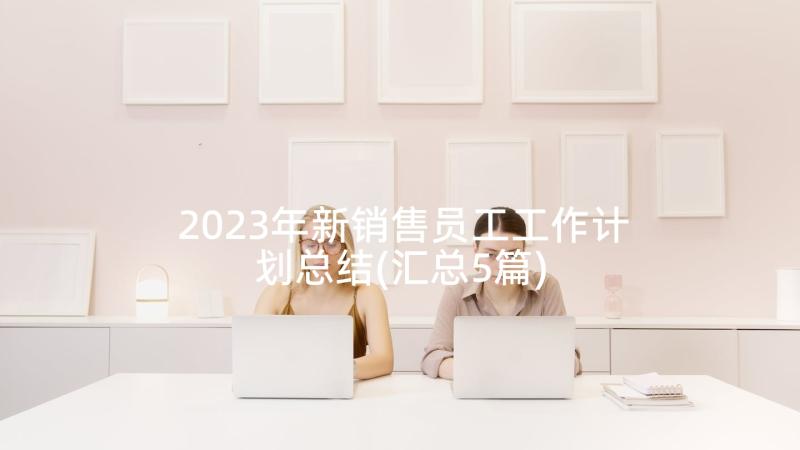 2023年新销售员工工作计划总结(汇总5篇)