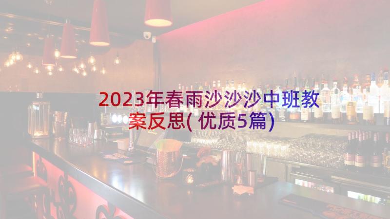 2023年春雨沙沙沙中班教案反思(优质5篇)