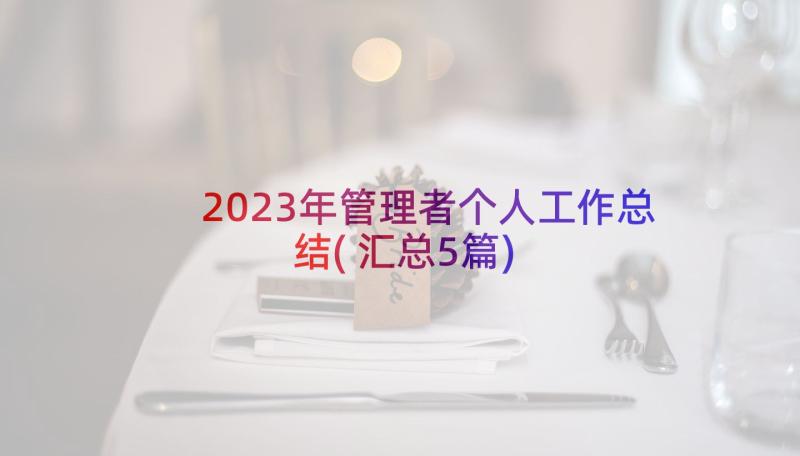 2023年管理者个人工作总结(汇总5篇)