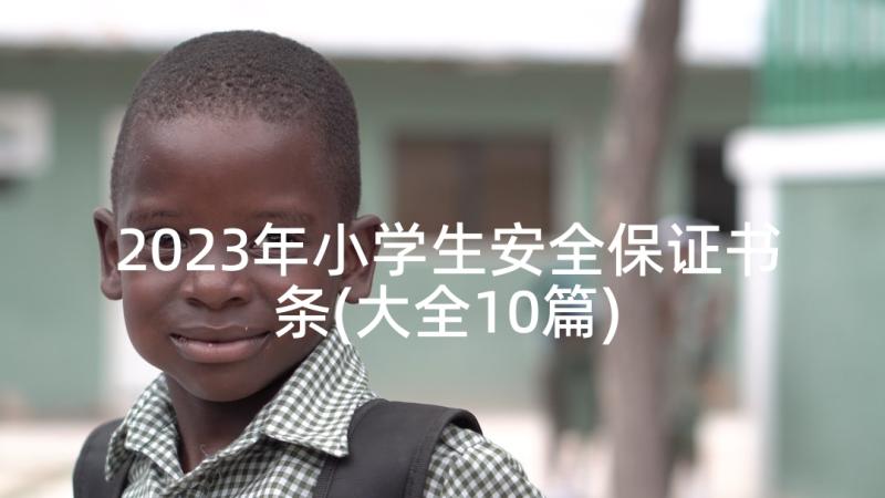 2023年小学生安全保证书条(大全10篇)