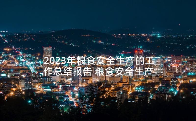 2023年粮食安全生产的工作总结报告 粮食安全生产的工作总结(大全5篇)