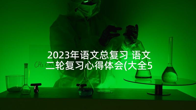 2023年语文总复习 语文二轮复习心得体会(大全5篇)