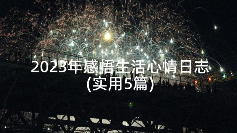 2023年感悟生活心情日志(实用5篇)