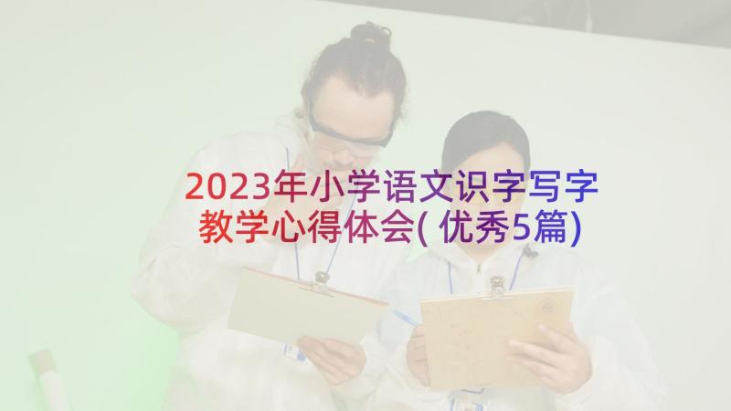 2023年小学语文识字写字教学心得体会(优秀5篇)