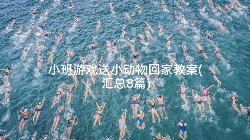 小班游戏送小动物回家教案(汇总8篇)