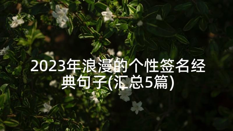 2023年浪漫的个性签名经典句子(汇总5篇)