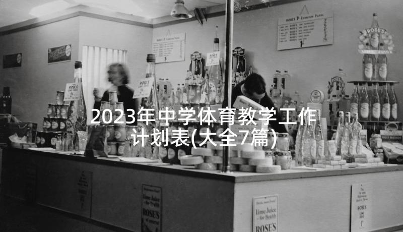 2023年中学体育教学工作计划表(大全7篇)