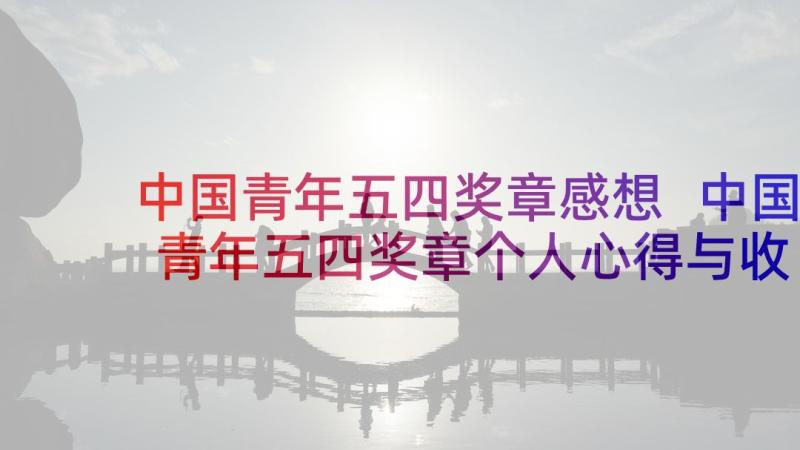 中国青年五四奖章感想 中国青年五四奖章个人心得与收获(汇总5篇)
