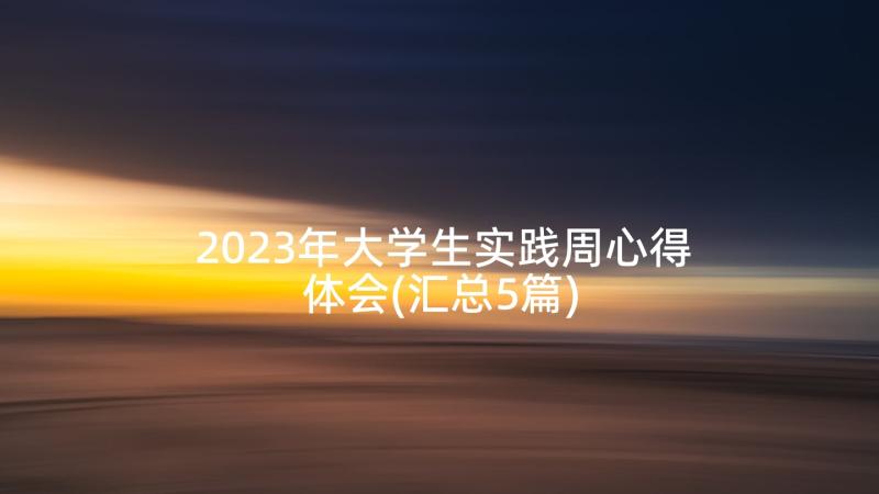 2023年大学生实践周心得体会(汇总5篇)