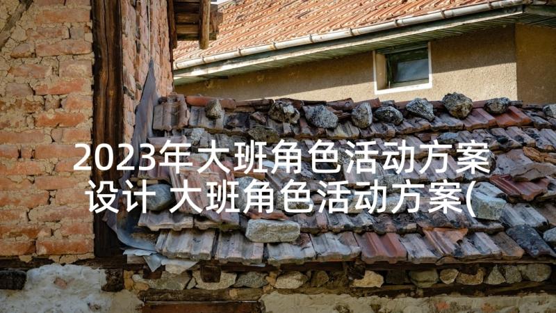 2023年大班角色活动方案设计 大班角色活动方案(优秀5篇)