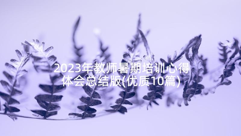 2023年教师暑期培训心得体会总结版(优质10篇)