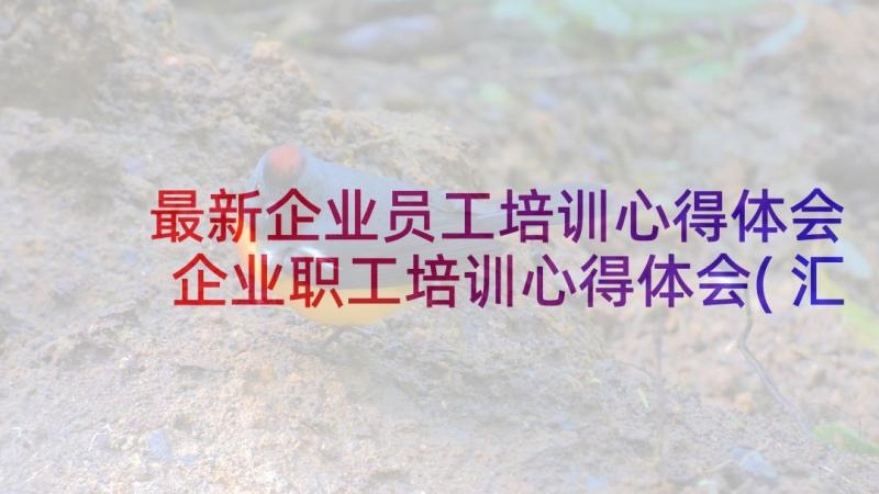 最新企业员工培训心得体会 企业职工培训心得体会(汇总5篇)