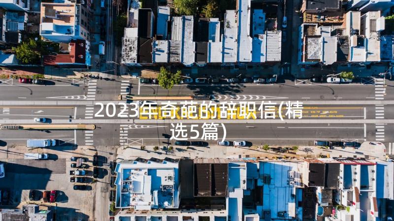 2023年奇葩的辞职信(精选5篇)