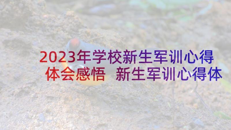 2023年学校新生军训心得体会感悟 新生军训心得体会及感悟(优秀8篇)