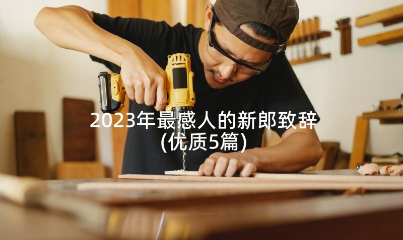 2023年最感人的新郎致辞(优质5篇)