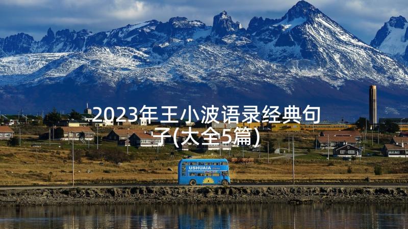 2023年王小波语录经典句子(大全5篇)