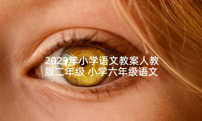 2023年小学语文教案人教版二年级 小学六年级语文穷人教案(通用5篇)