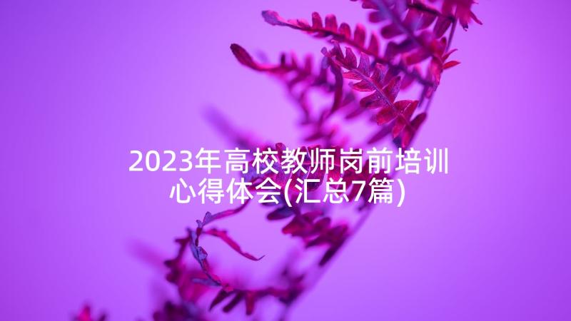 2023年高校教师岗前培训心得体会(汇总7篇)