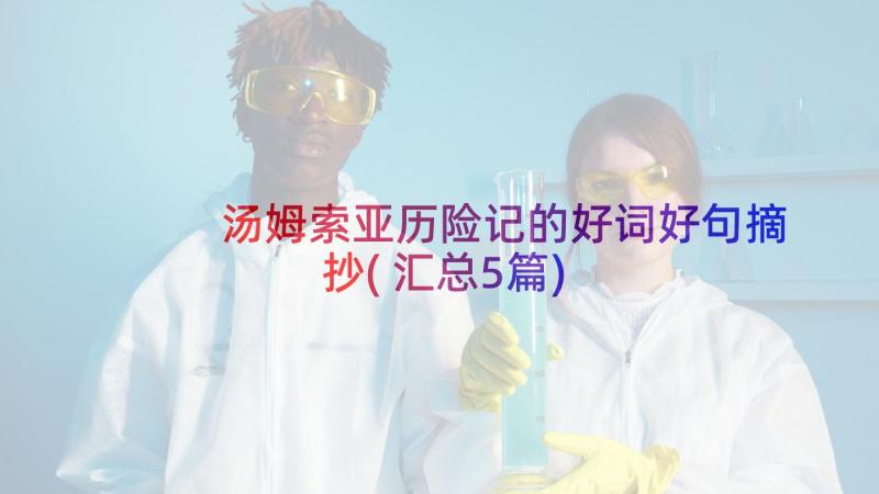 汤姆索亚历险记的好词好句摘抄(汇总5篇)