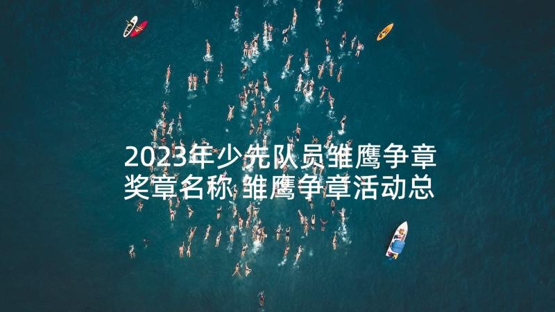 2023年少先队员雏鹰争章奖章名称 雏鹰争章活动总结(实用10篇)