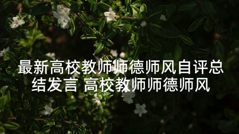 最新高校教师师德师风自评总结发言 高校教师师德师风思想总结(汇总5篇)