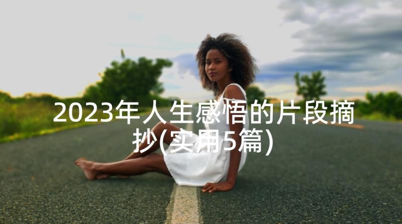 2023年人生感悟的片段摘抄(实用5篇)