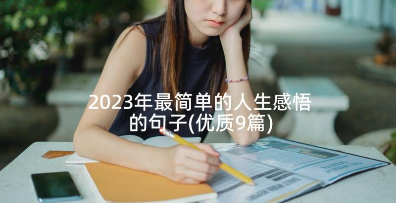 2023年最简单的人生感悟的句子(优质9篇)