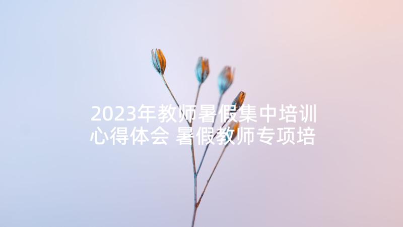 2023年教师暑假集中培训心得体会 暑假教师专项培训心得体会(汇总6篇)