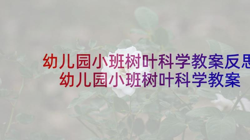 幼儿园小班树叶科学教案反思 幼儿园小班树叶科学教案(精选7篇)