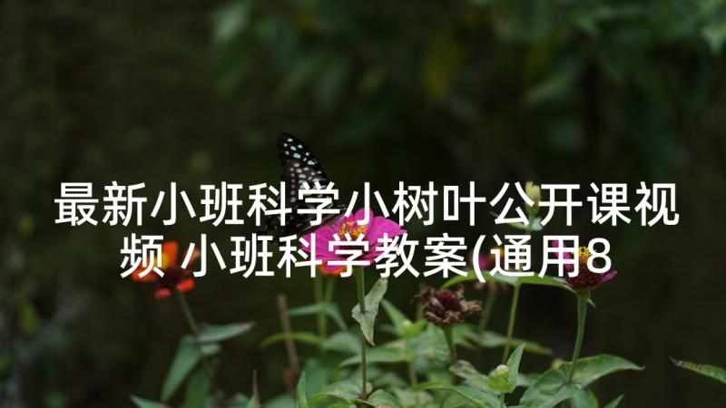 最新小班科学小树叶公开课视频 小班科学教案(通用8篇)