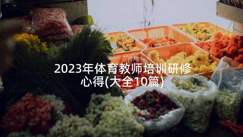 2023年体育教师培训研修心得(大全10篇)