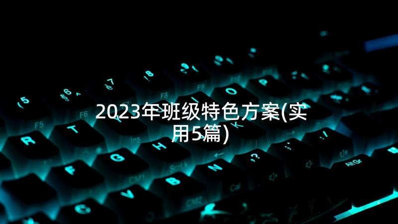 2023年班级特色方案(实用5篇)