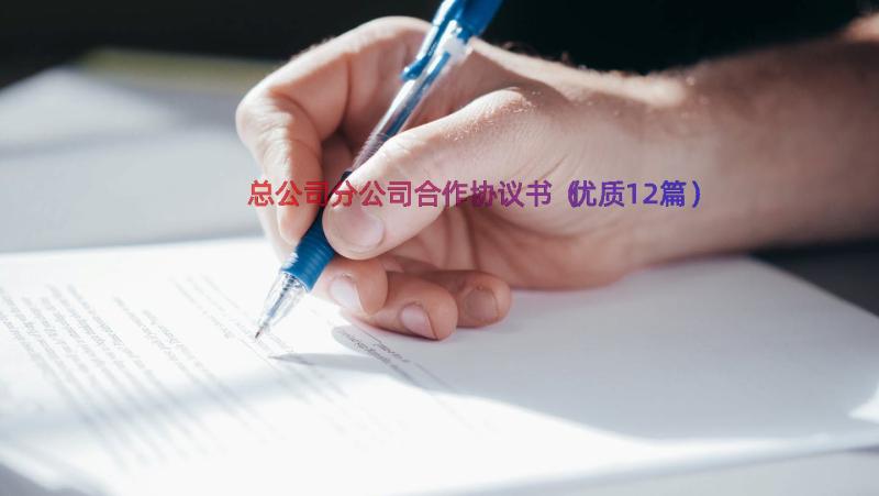 总公司分公司合作协议书（优质12篇）