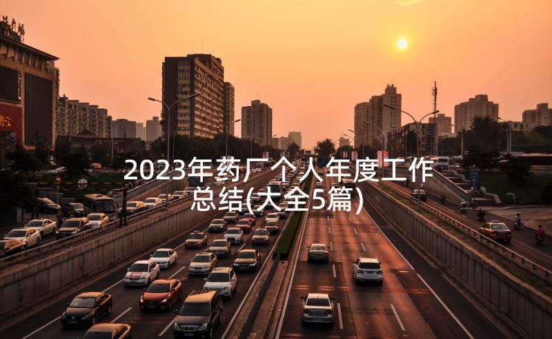 2023年药厂个人年度工作总结(大全5篇)