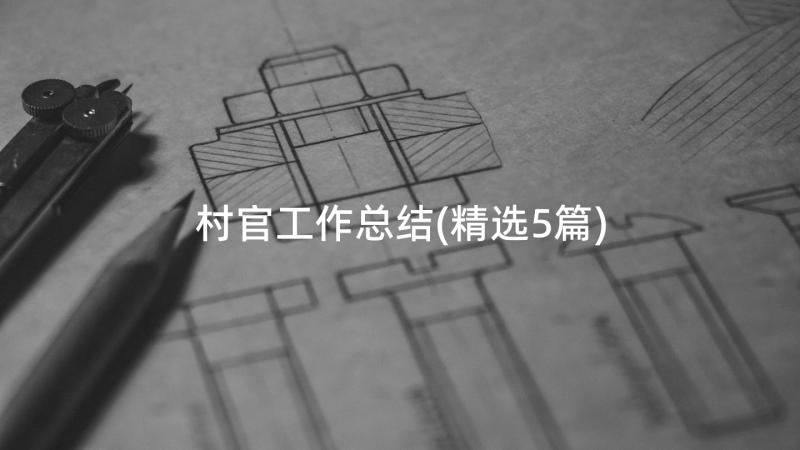 村官工作总结(精选5篇)