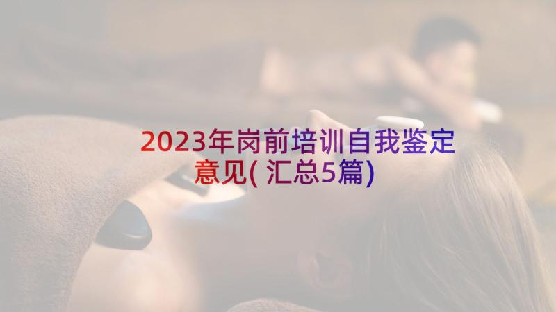 2023年岗前培训自我鉴定意见(汇总5篇)