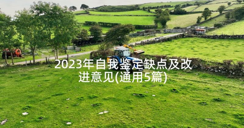 2023年自我鉴定缺点及改进意见(通用5篇)