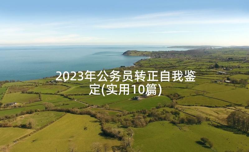 2023年公务员转正自我鉴定(实用10篇)