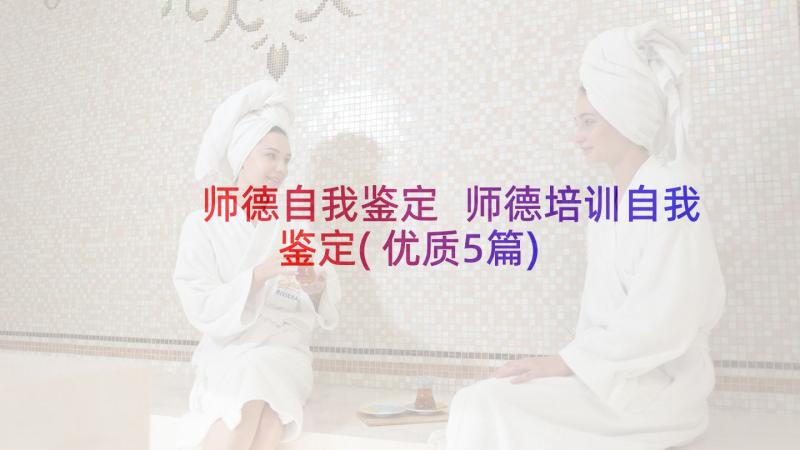 师德自我鉴定 师德培训自我鉴定(优质5篇)