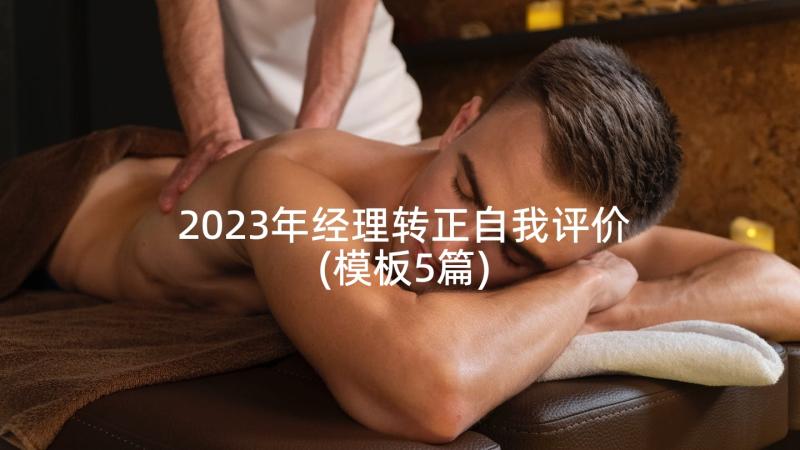 2023年经理转正自我评价(模板5篇)