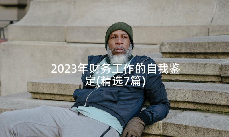 2023年财务工作的自我鉴定(精选7篇)