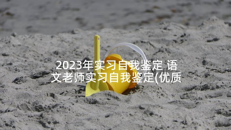 2023年实习自我鉴定 语文老师实习自我鉴定(优质6篇)