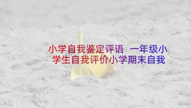 小学自我鉴定评语 一年级小学生自我评价小学期末自我鉴定(优质5篇)