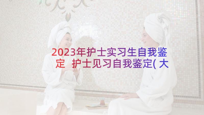 2023年护士实习生自我鉴定 护士见习自我鉴定(大全5篇)