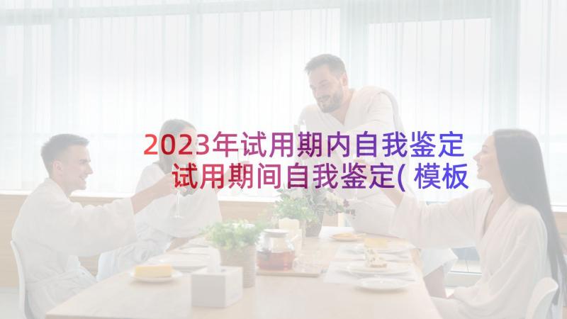 2023年试用期内自我鉴定 试用期间自我鉴定(模板5篇)