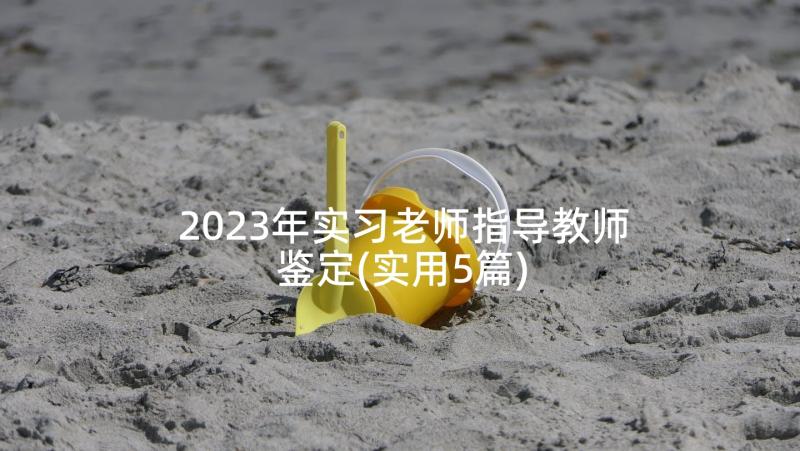 2023年实习老师指导教师鉴定(实用5篇)